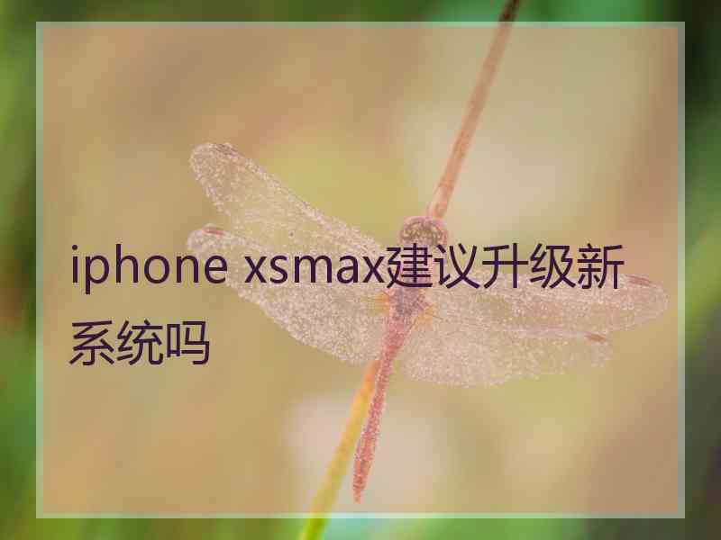 iphone xsmax建议升级新系统吗