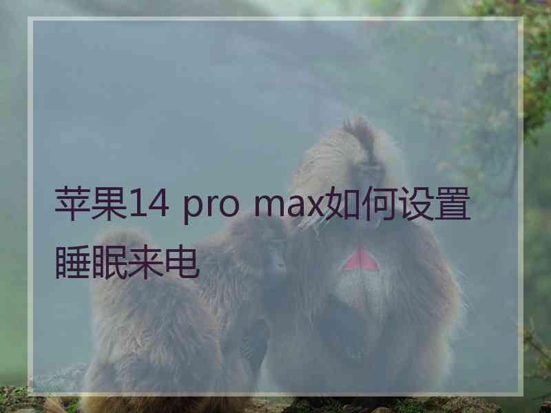 苹果14 pro max如何设置睡眠来电