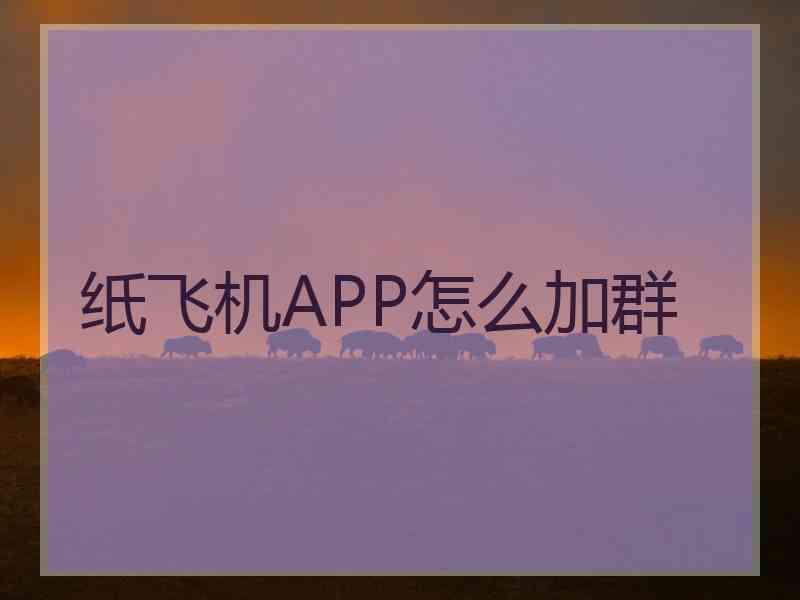 纸飞机APP怎么加群