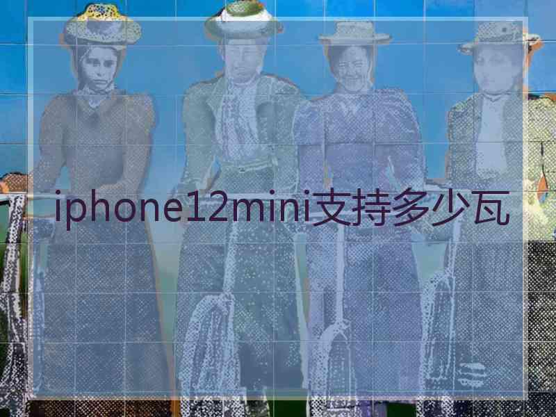 iphone12mini支持多少瓦