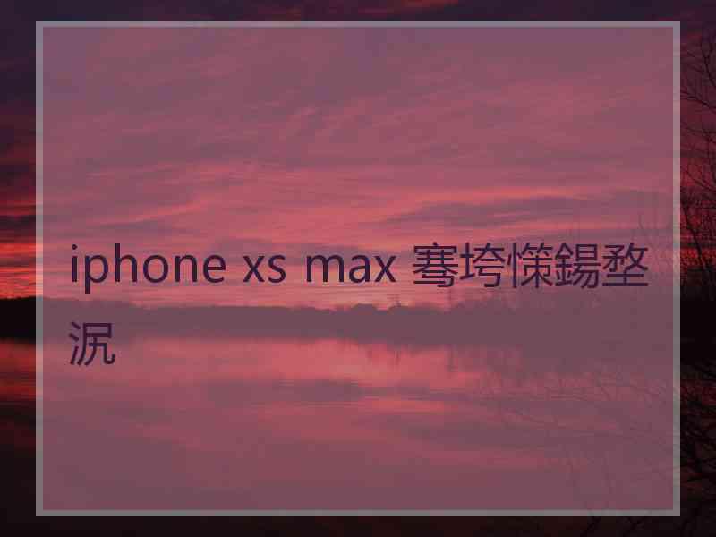 iphone xs max 骞垮憡鍚堥泦