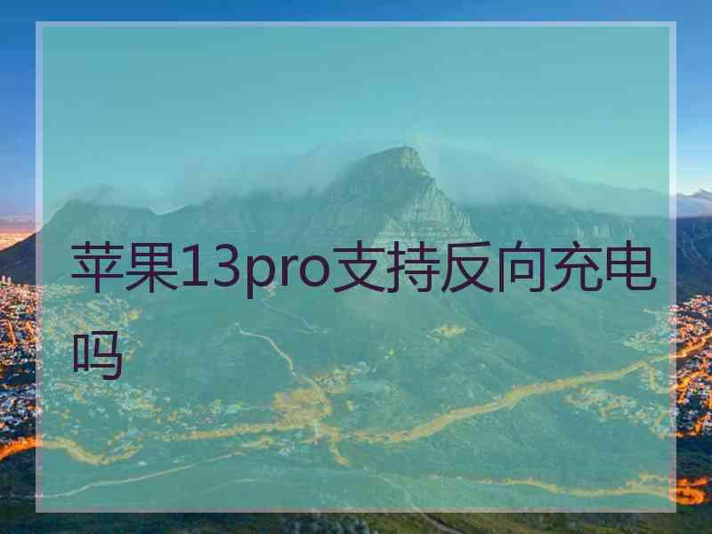 苹果13pro支持反向充电吗