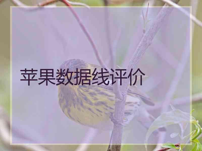 苹果数据线评价