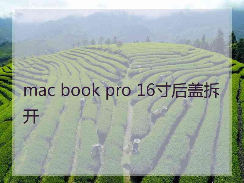 mac book pro 16寸后盖拆开