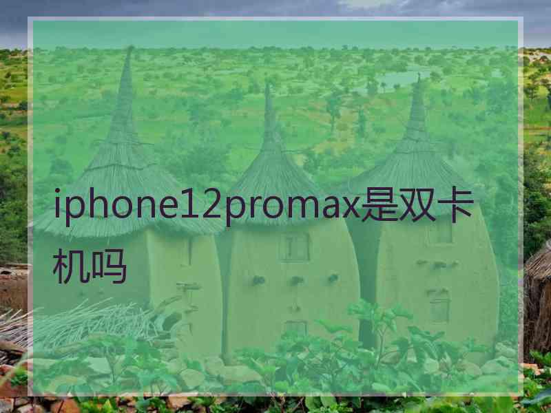 iphone12promax是双卡机吗