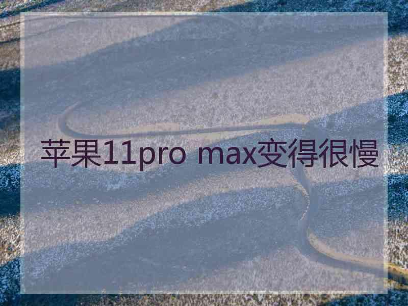 苹果11pro max变得很慢