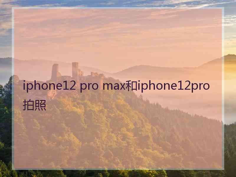 iphone12 pro max和iphone12pro拍照