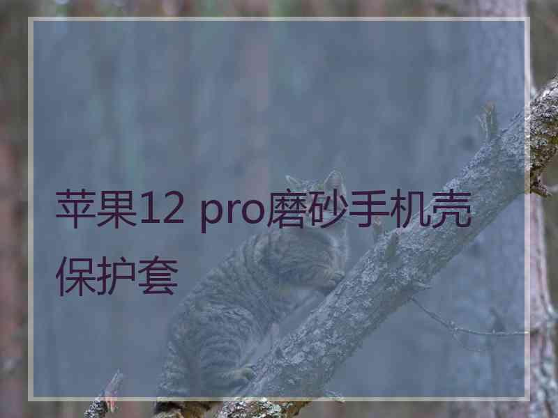 苹果12 pro磨砂手机壳保护套