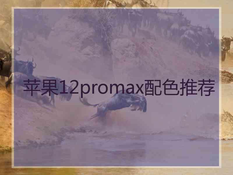 苹果12promax配色推荐