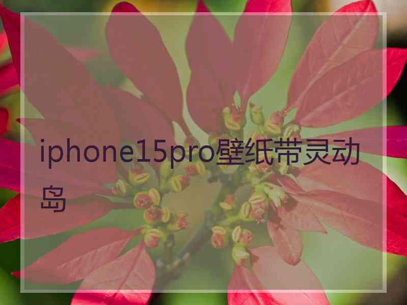 iphone15pro壁纸带灵动岛