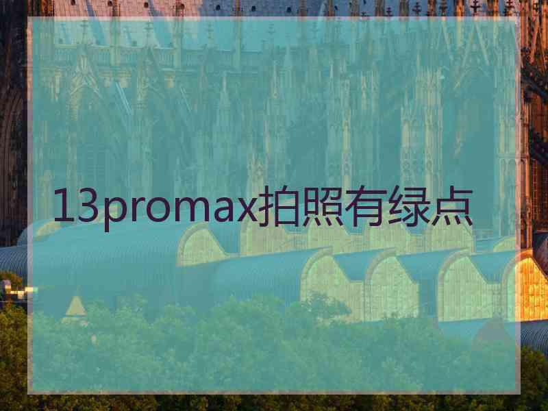 13promax拍照有绿点