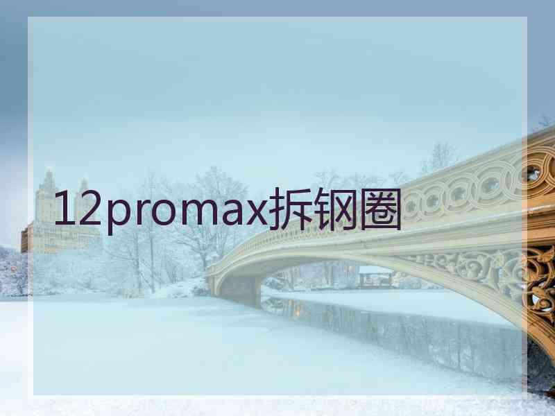 12promax拆钢圈