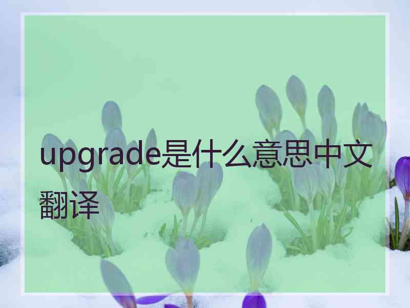 upgrade是什么意思中文翻译