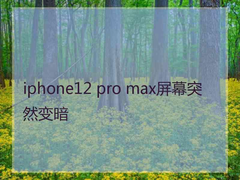 iphone12 pro max屏幕突然变暗