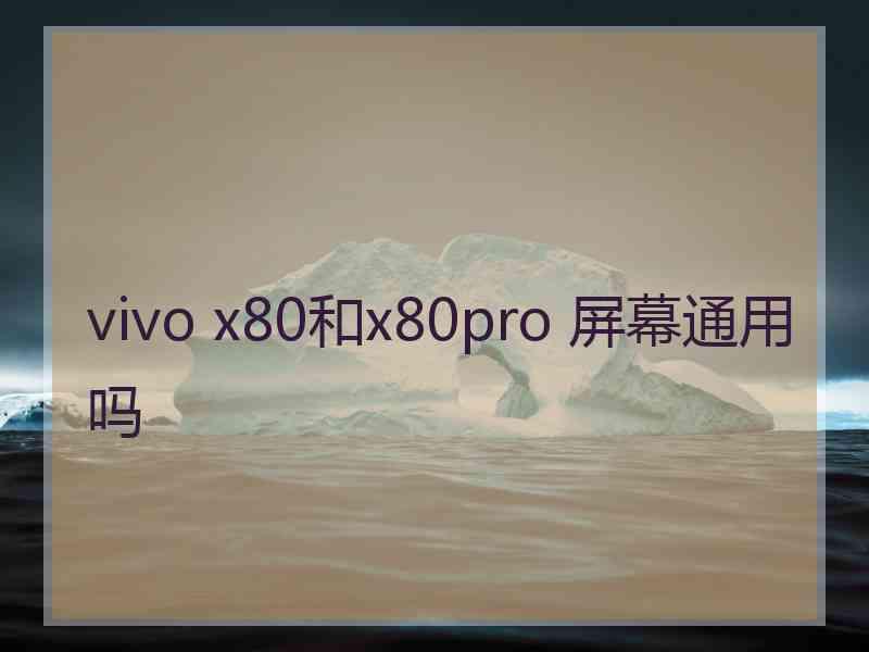 vivo x80和x80pro 屏幕通用吗