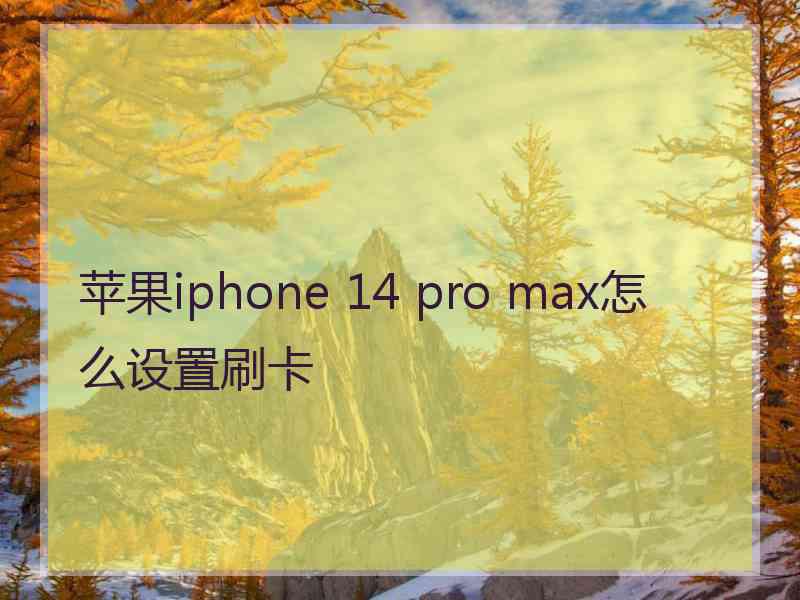 苹果iphone 14 pro max怎么设置刷卡