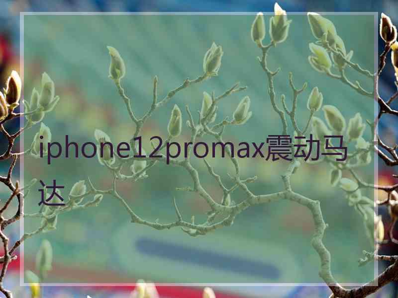 iphone12promax震动马达