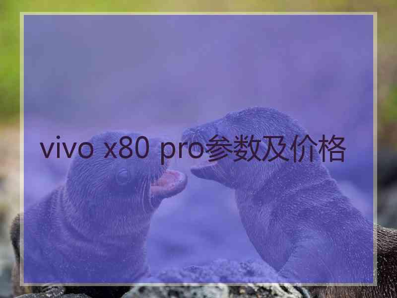 vivo x80 pro参数及价格