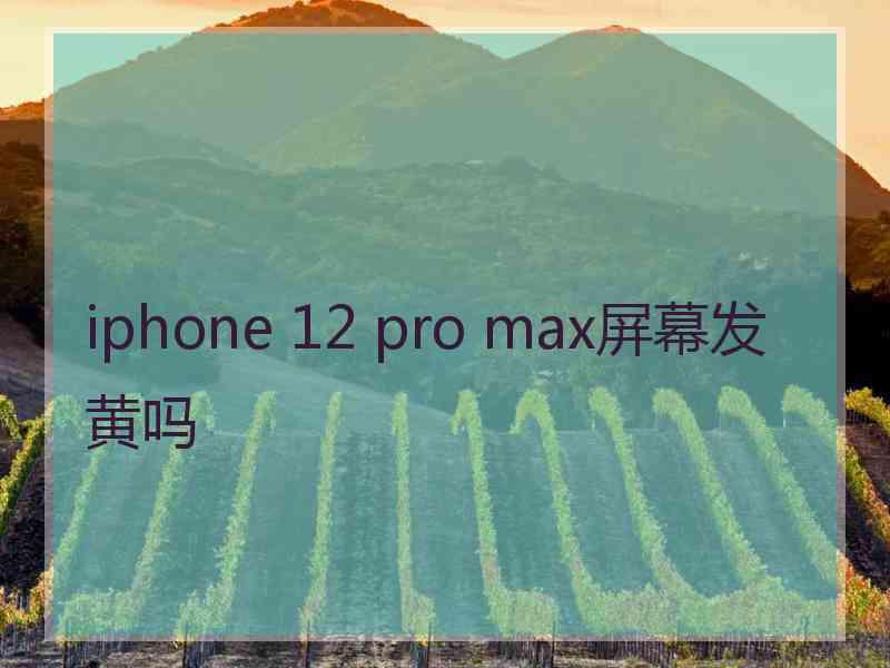 iphone 12 pro max屏幕发黄吗