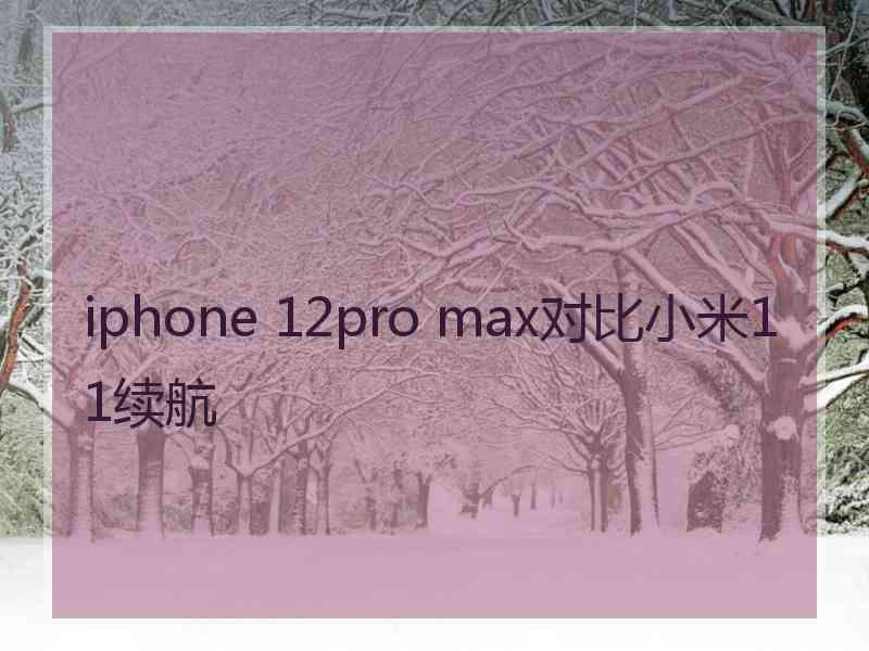 iphone 12pro max对比小米11续航