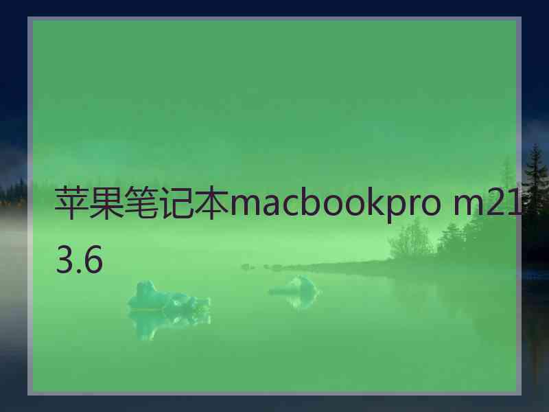 苹果笔记本macbookpro m213.6