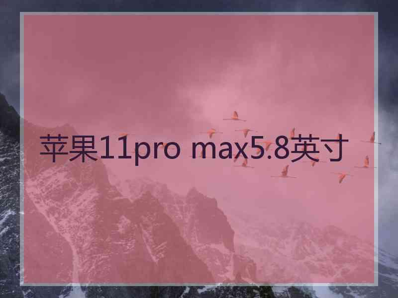 苹果11pro max5.8英寸