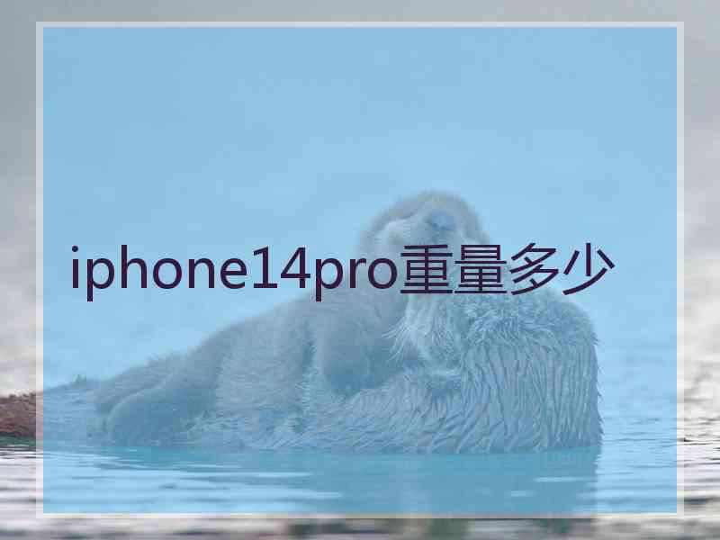 iphone14pro重量多少