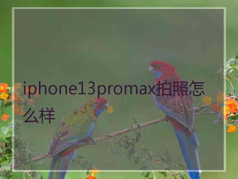 iphone13promax拍照怎么样