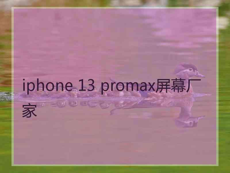 iphone 13 promax屏幕厂家