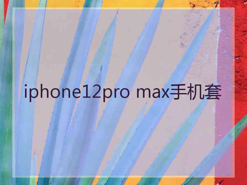 iphone12pro max手机套