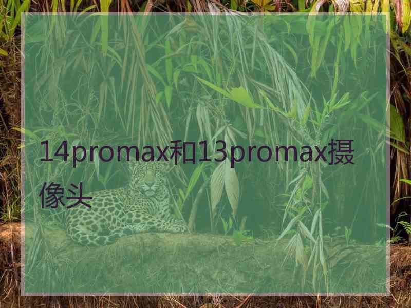 14promax和13promax摄像头