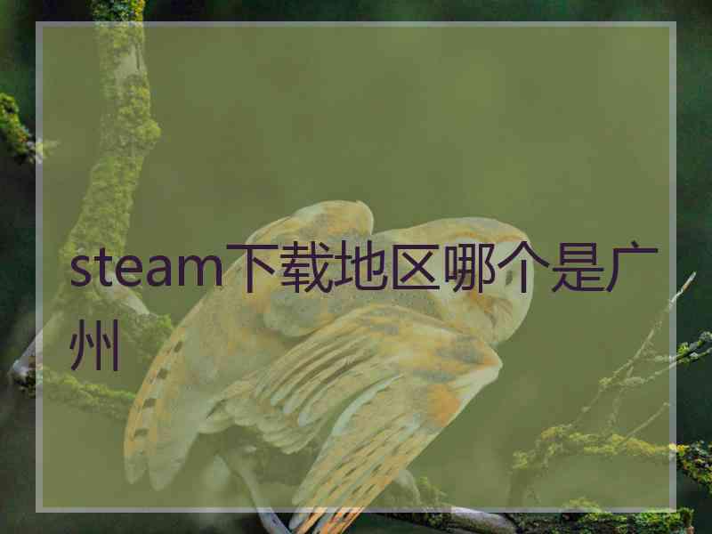 steam下载地区哪个是广州