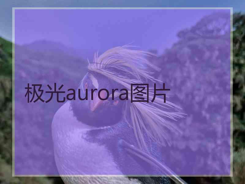 极光aurora图片