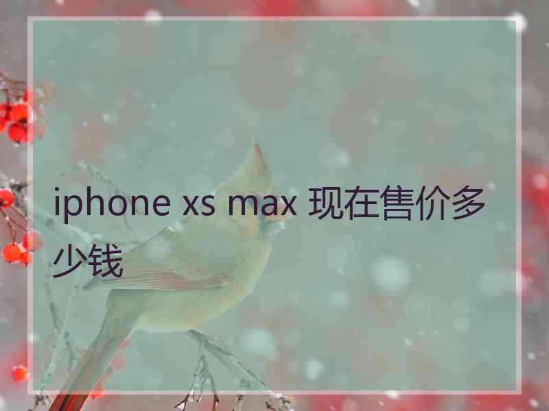 iphone xs max 现在售价多少钱