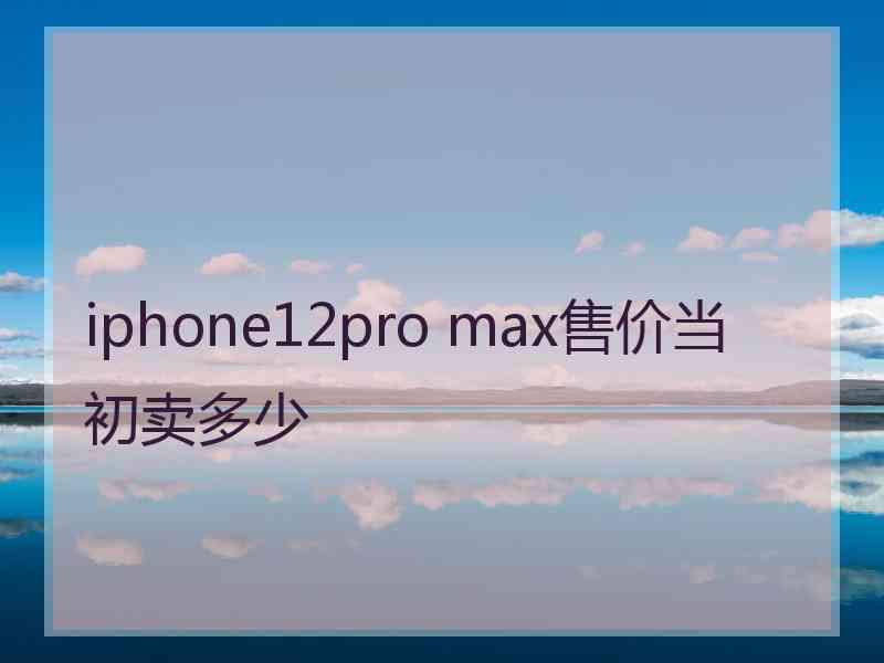 iphone12pro max售价当初卖多少