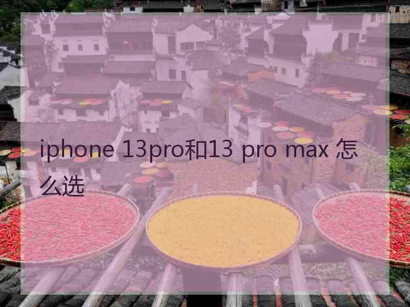 iphone 13pro和13 pro max 怎么选