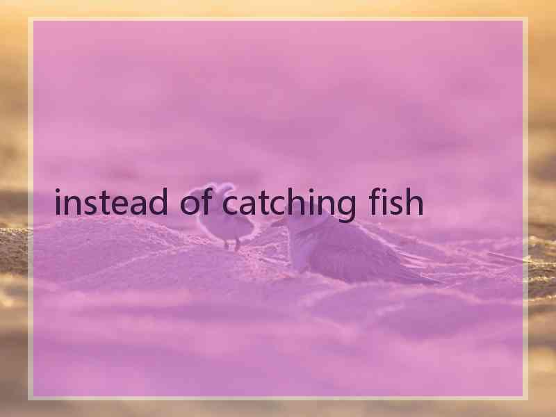 instead of catching fish