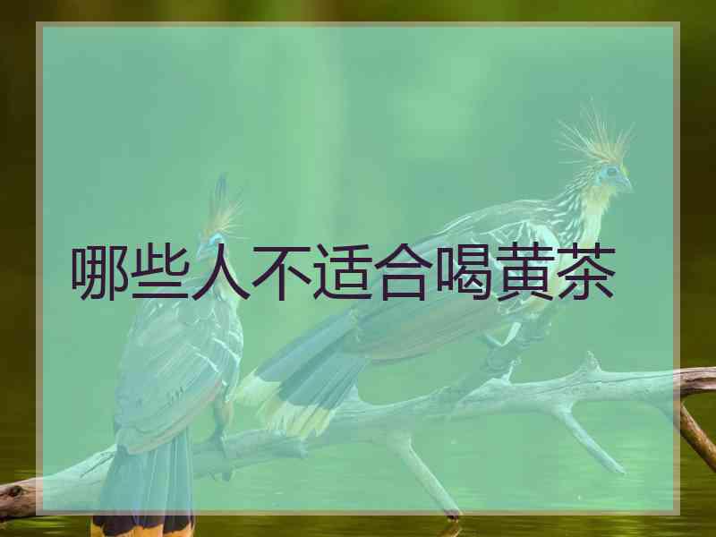 哪些人不适合喝黄茶