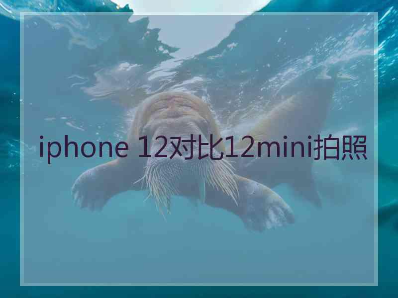 iphone 12对比12mini拍照