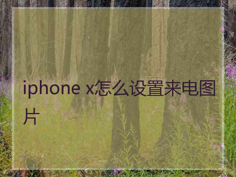 iphone x怎么设置来电图片