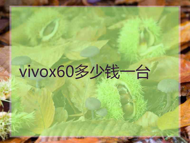 vivox60多少钱一台