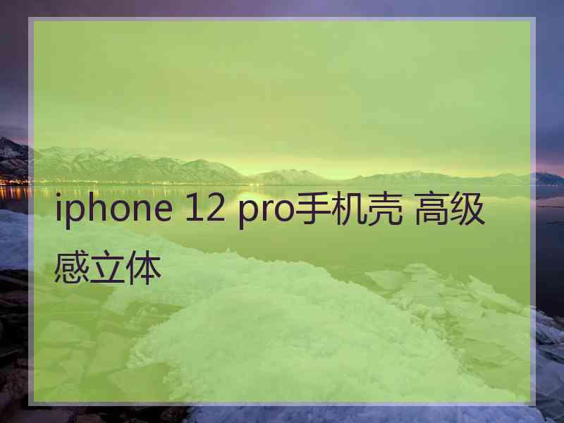 iphone 12 pro手机壳 高级感立体