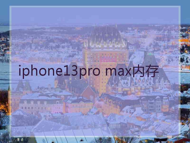 iphone13pro max内存