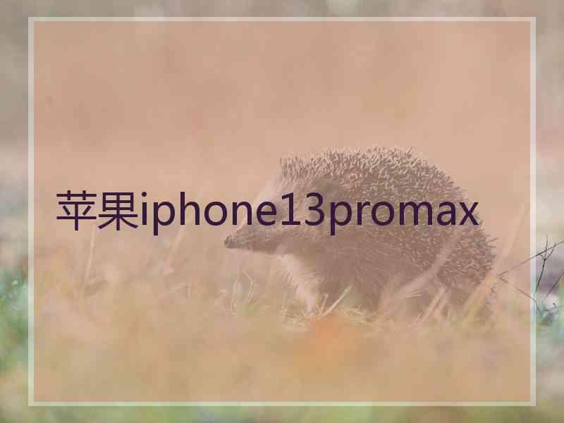 苹果iphone13promax