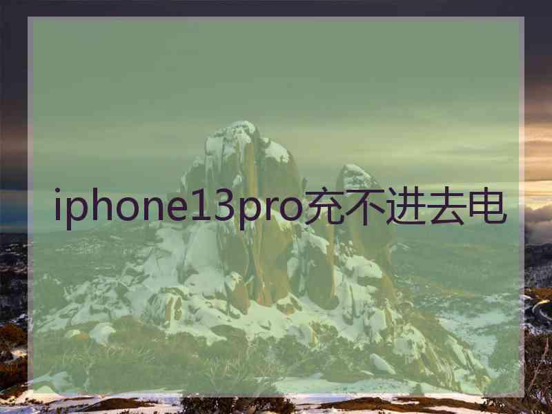 iphone13pro充不进去电