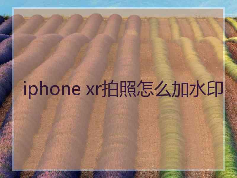 iphone xr拍照怎么加水印