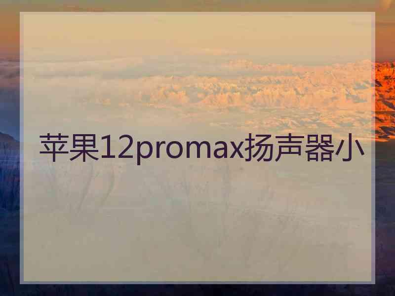 苹果12promax扬声器小