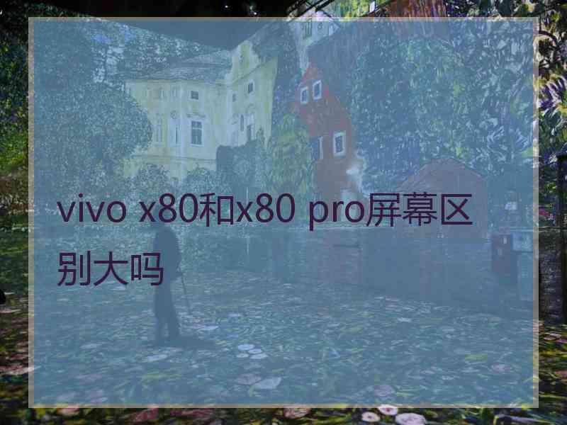 vivo x80和x80 pro屏幕区别大吗