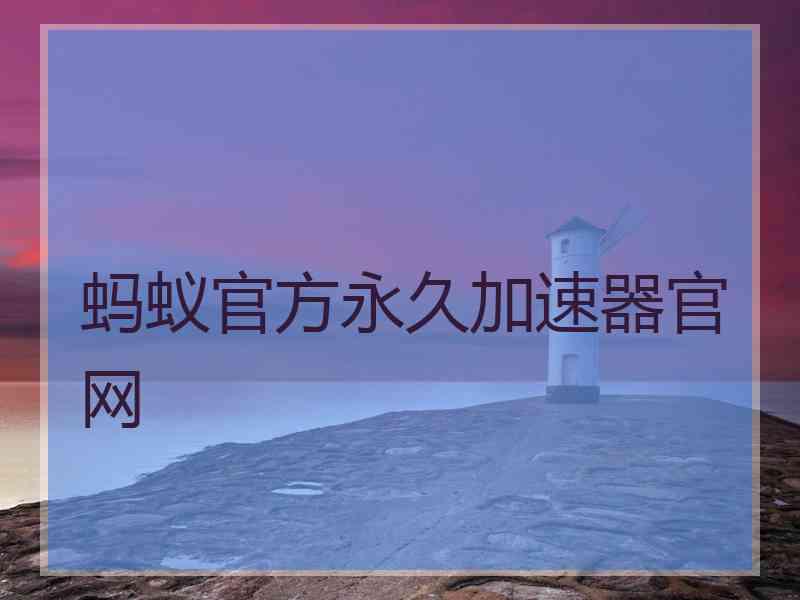 蚂蚁官方永久加速器官网