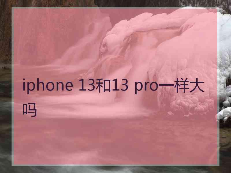 iphone 13和13 pro一样大吗